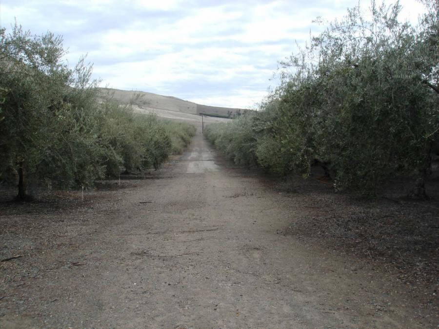 California Land Loan