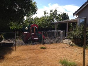 Brentwood-Rehab-Yard1